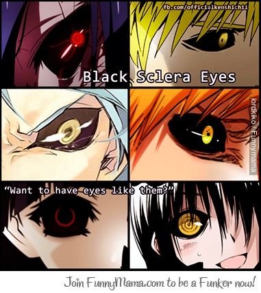 Lol Nice Anime Amino