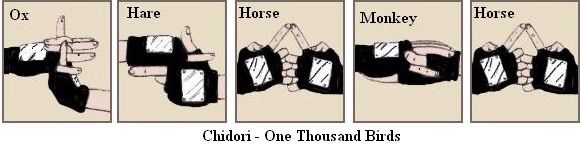 Naruto Jutsu Hand Signs | Anime Amino