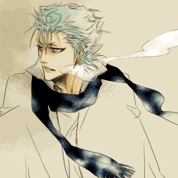 Grimmjow from Bleach | Anime Amino