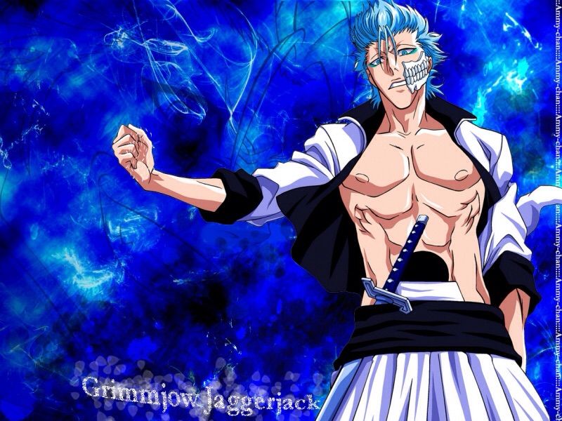 Grimmjow from Bleach Anime Amino