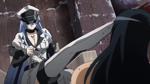 general esdeath figure