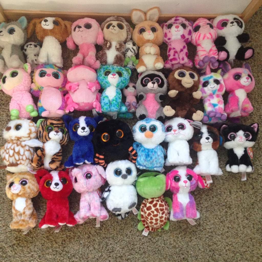 My Entire Beanie Boo Collection So Far Toys Amino 