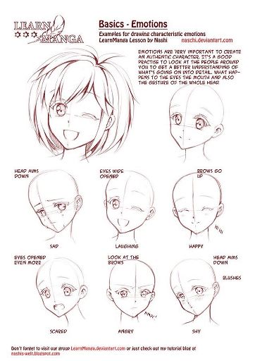 Anime Drawing Guide | Wiki | Anime Amino