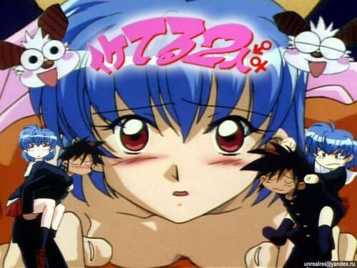 Iketeru Futari Wiki Anime Amino Iketeru Futari Wiki Anime Amino