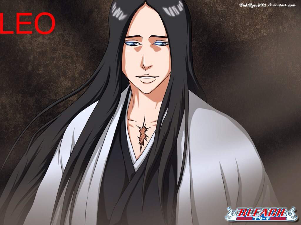 Zodiac Signs! Squad Captain Bleach! Which One Are You? Anime Amino