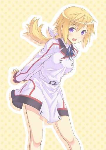Featured image of post Infinite Stratos Charlotte Age From the popular anime series is infinite stratos comes a figure of the is representative candidate of france charlotte dunois