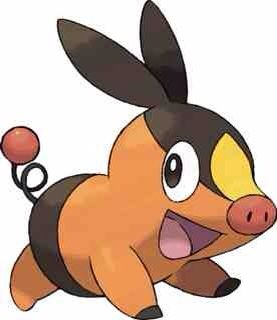 tepig teddy