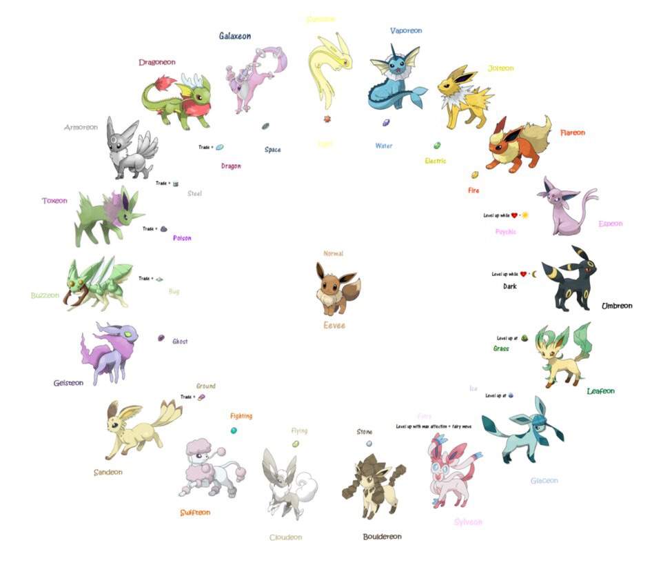 Eevee Pok mon Amino