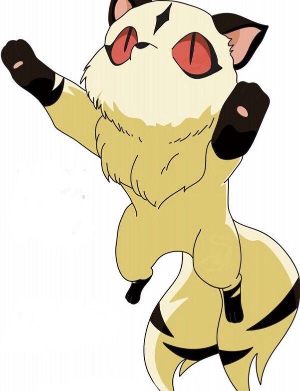 kirara pop