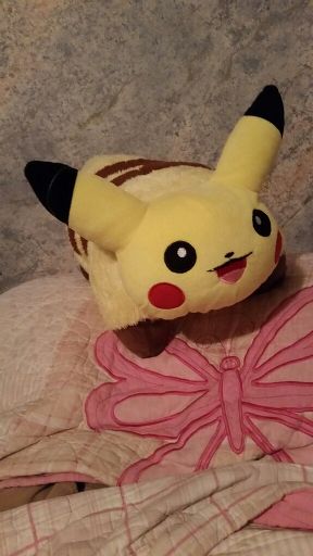 pikachu pillow pet
