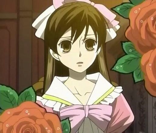 Haruhi Fujioka | Wiki | Anime Amino