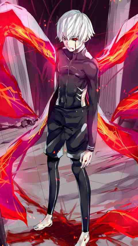 KANEKi KEN♥ | Anime Amino