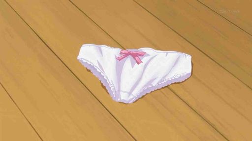 Anime Underwear Wiki