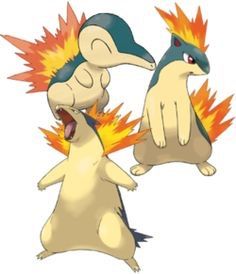 cyndaquil quilava typhlosion