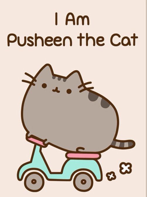 pusheen chef