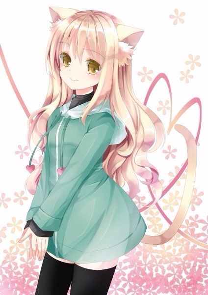 Most Kawaii Cat Girl Anime Amino