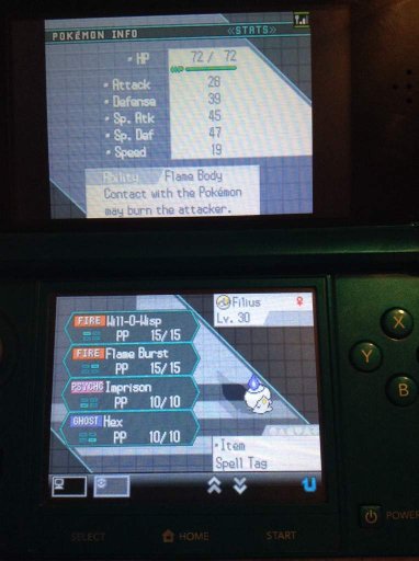 pokemon flame body power pokemon flame body power