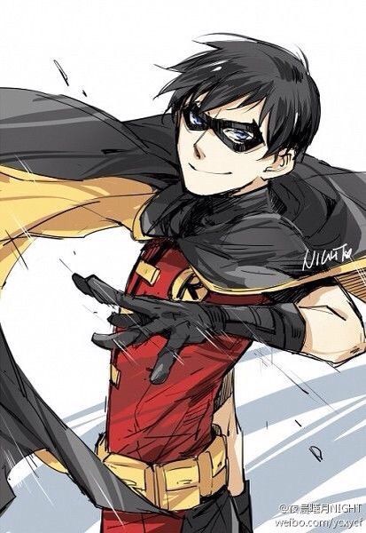 Nightwing | Anime Amino