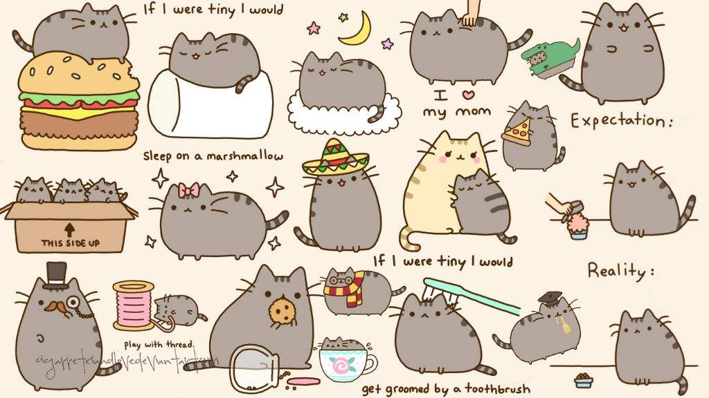 Pusheen | Anime Amino