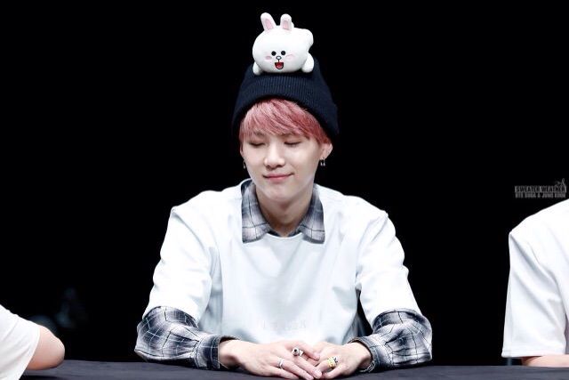 suga bts stuffed animal