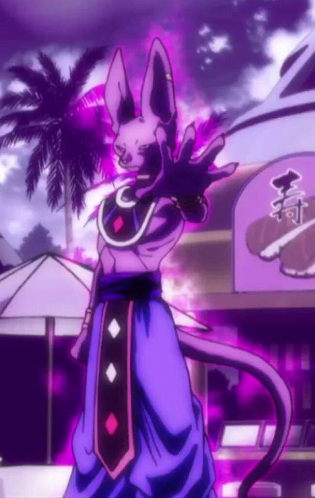 Beerus God Of Destruction Wiki Anime Amino