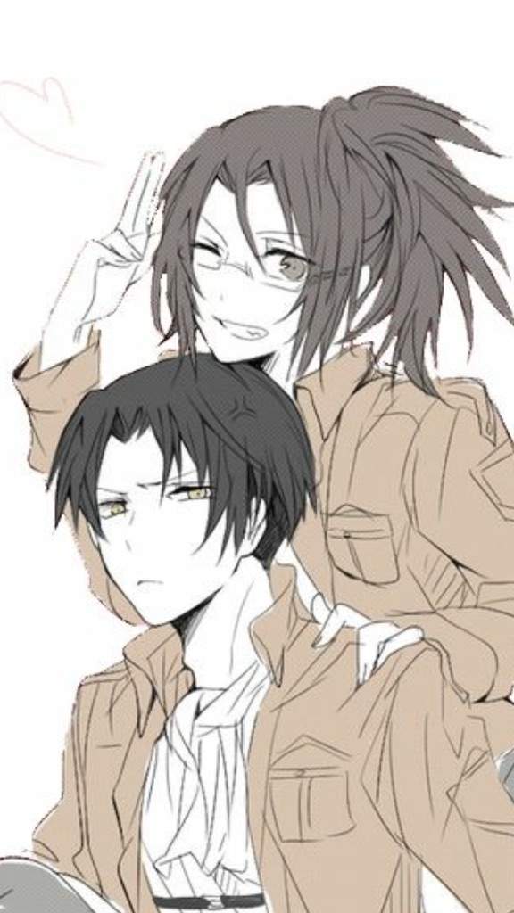 Levihan | Anime Amino