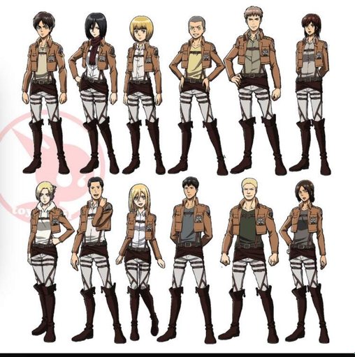 Attack On Titain Wiki Anime Amino