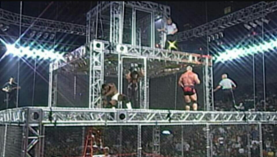 wrestling crash cage