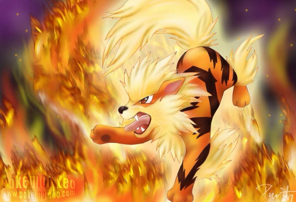 arcanine-pok-mon-amino