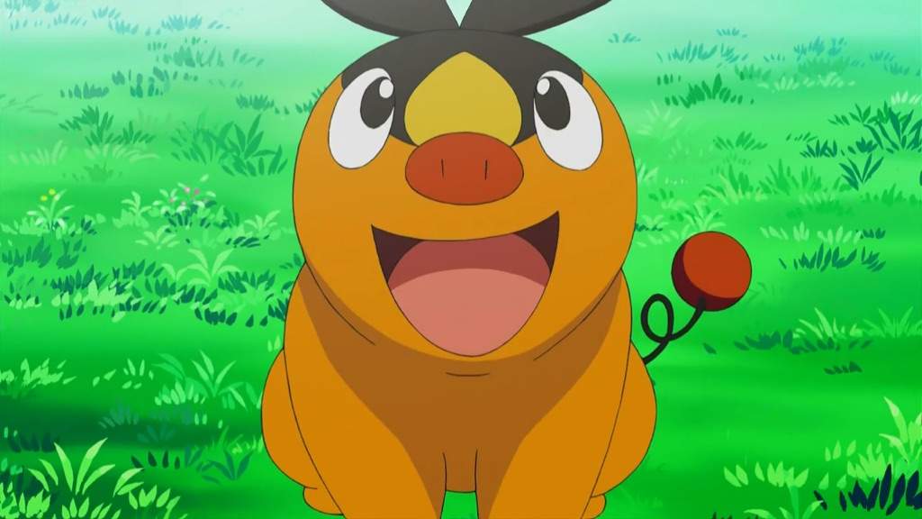 tepig teddy