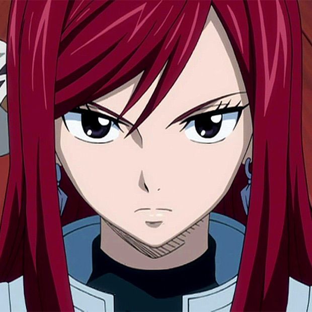 fairy tail erza