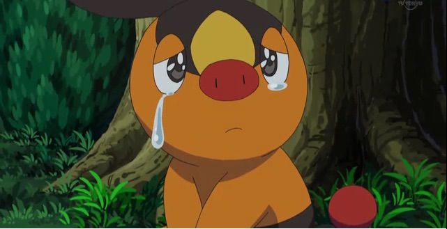 tepig teddy