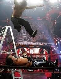 Jeff Hardy Vs Matt Hardy (WWE Backlash 2009) | Wiki | Wrestling Amino