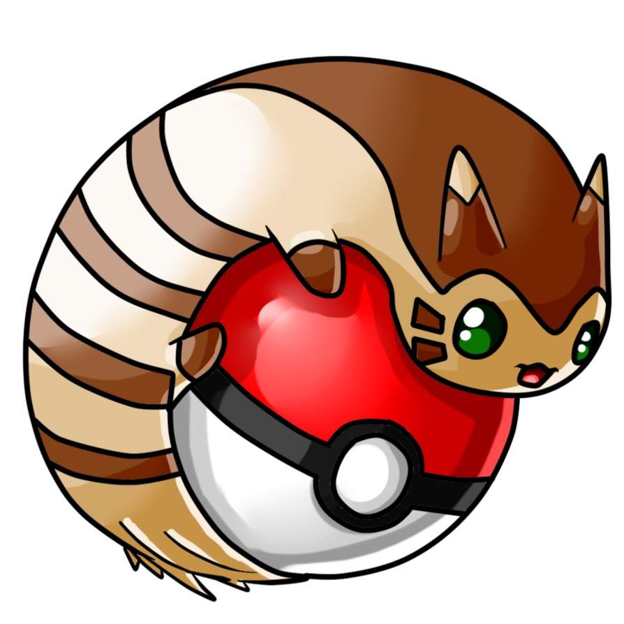 furret actual size