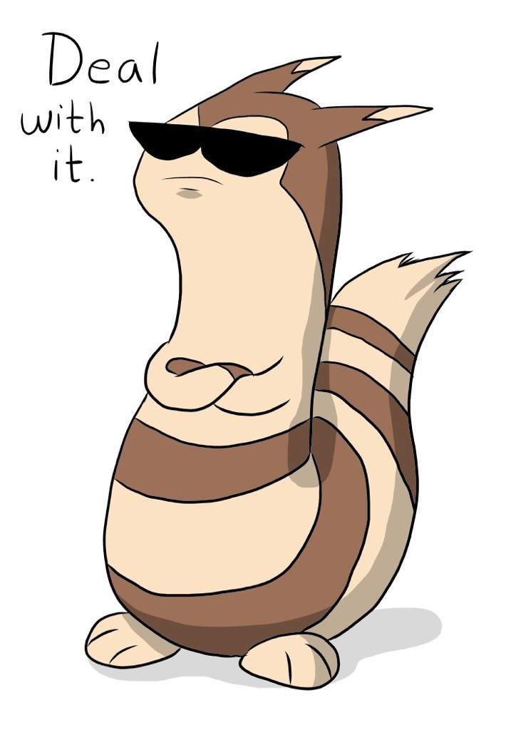 furret actual size