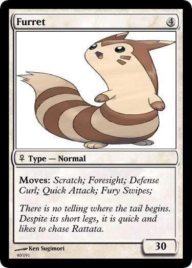 furret actual size