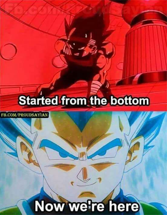 bottom vegeta