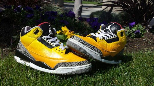 angelus dtrt yellow