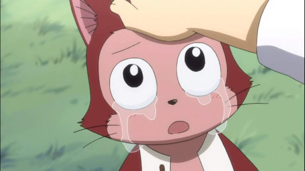 Anime Like Fairy Tail With Romance