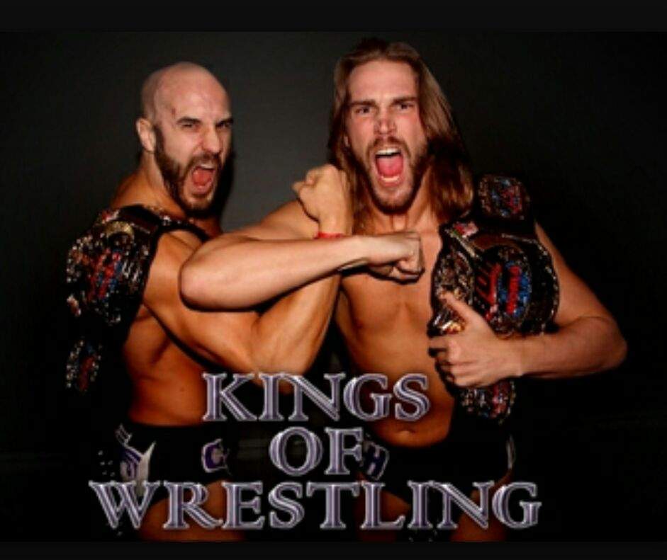 Top 5 Best Indy Tag Teams Of All Time Wrestling Amino