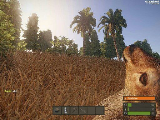 rust wiki