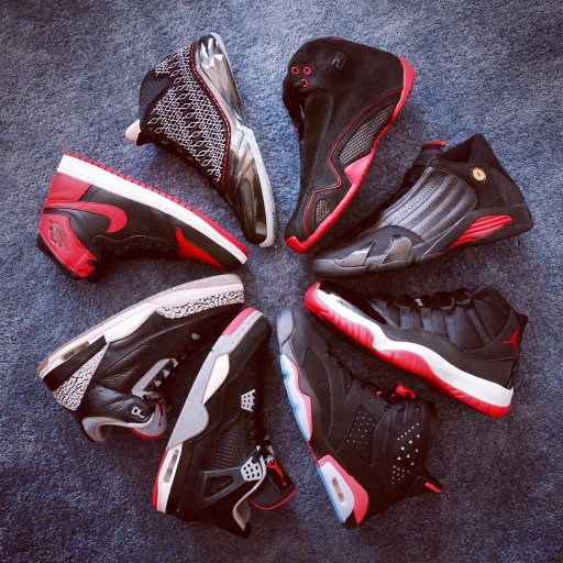 2019 jordan breds