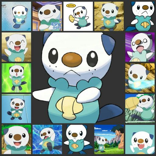 Oshawott Pokémon Amino 7958