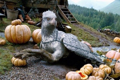 harry potter hippogriff plush