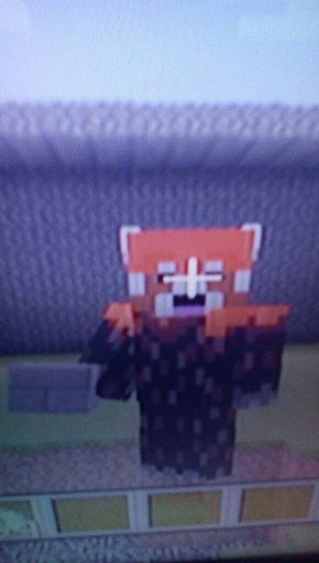 Red panda | Wiki | Minecraft Amino