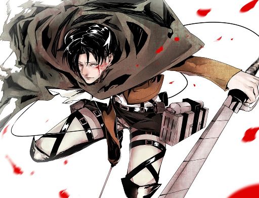 Attack On Titan | Wiki | Anime Amino