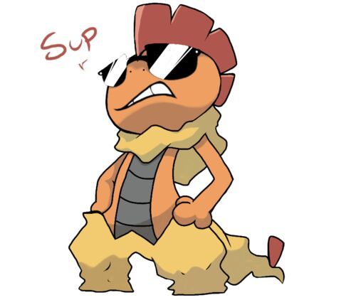Image result for scrafty cool