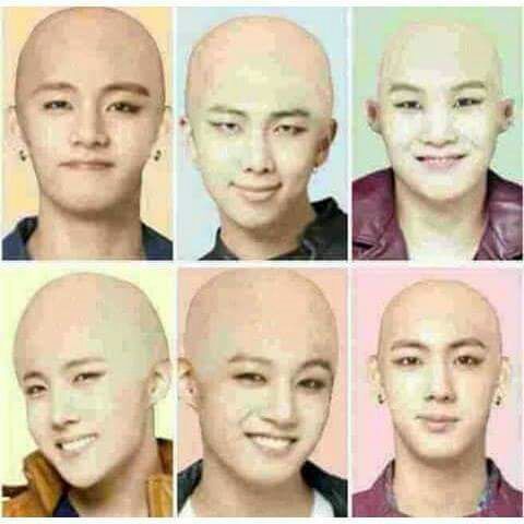 BTS members go bald | K-Pop Amino