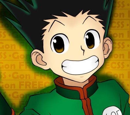 Hunter X Hunter | Wiki | Anime Amino