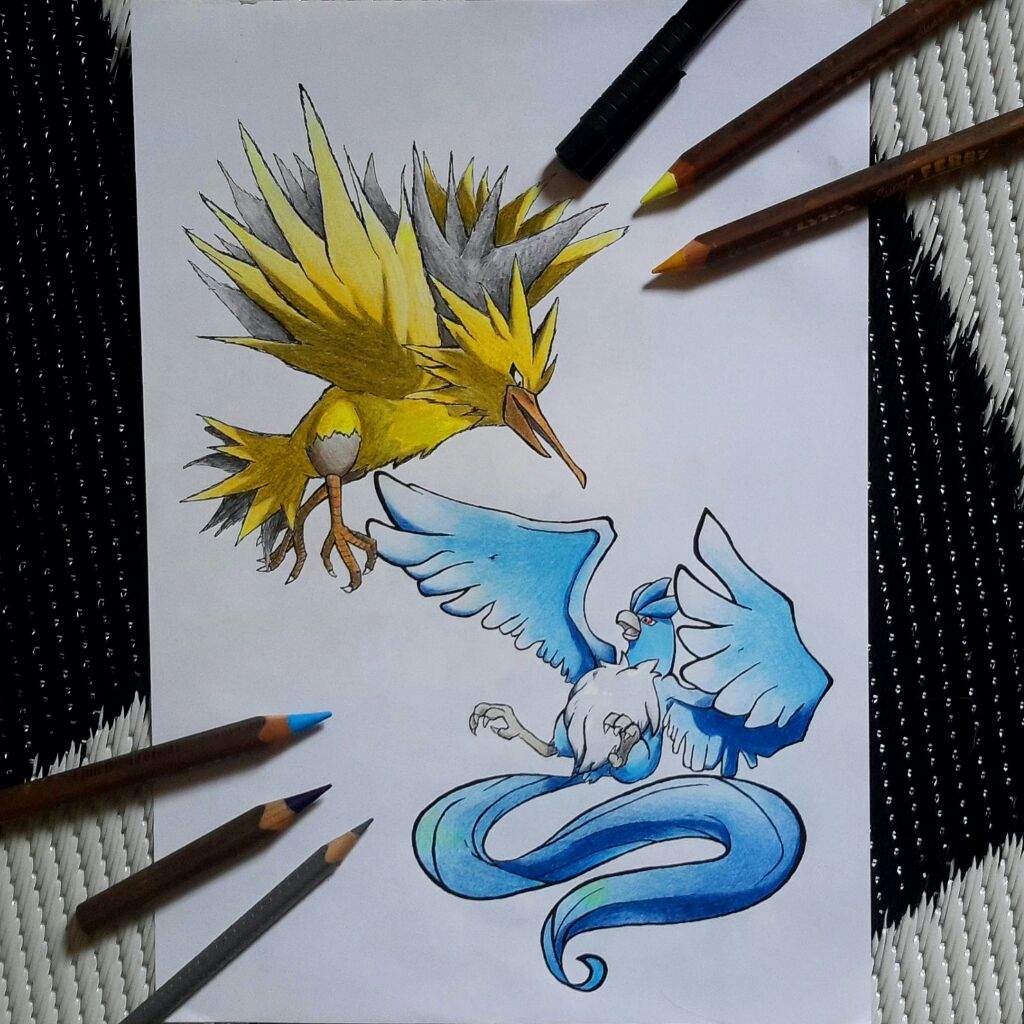 Articuno Vs Zapdos Drawing Pok Mon Amino